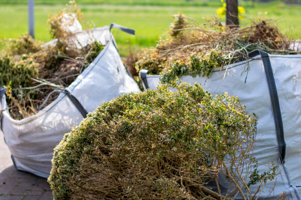 Best Yard Waste Removal  in Jekyll Island, GA